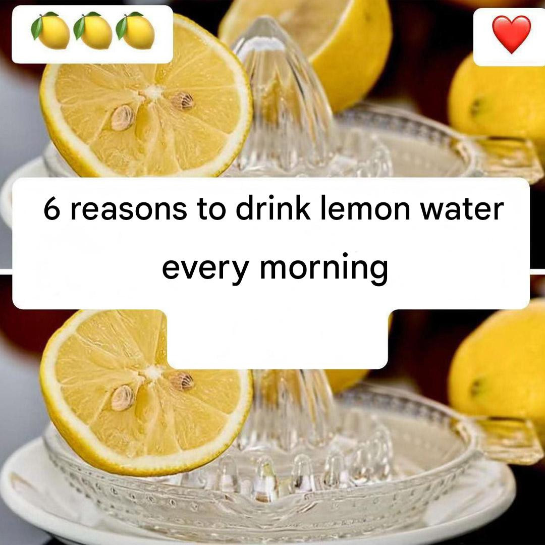 633919587 122208858062567604 3045252993033392606 n