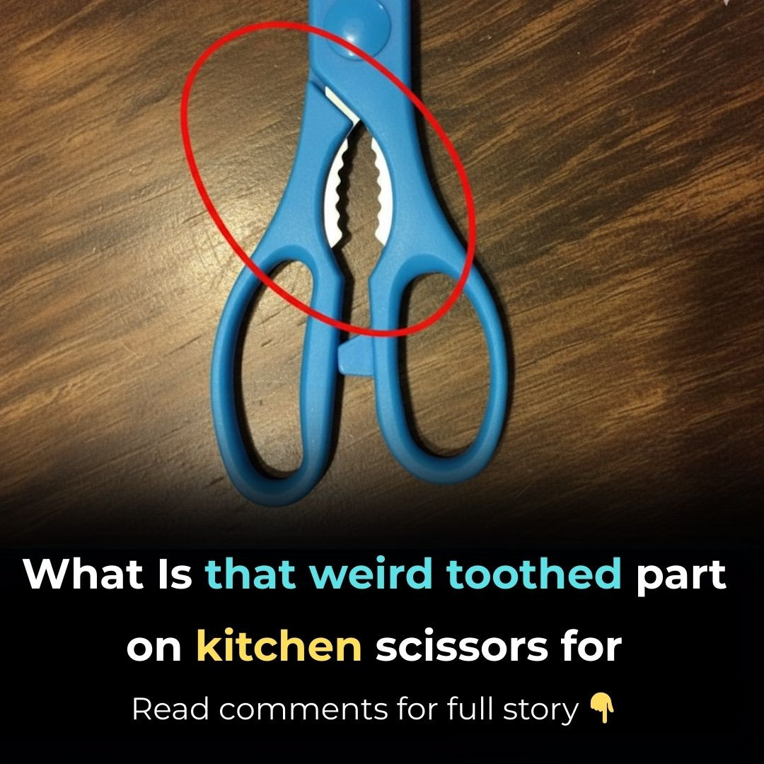 634001008 122208831602567604 3734505591301415352 n