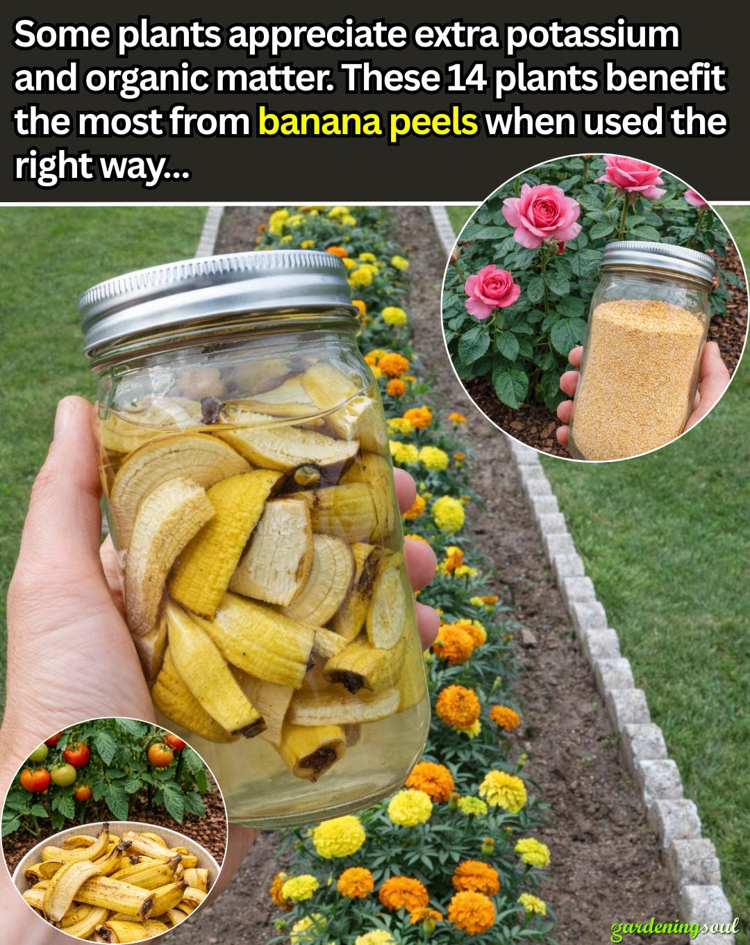 634082143 122208789152567604 8949406751487771939 n