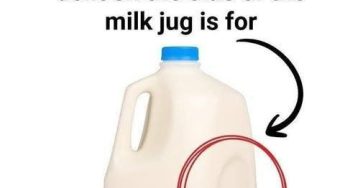 635591607 122208920576567604 5772749141537097946 n