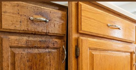 637225492 122208821468567604 3440738871615399790 n