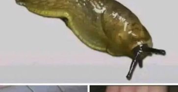 607621806 122201879954567604 8638060128701492882 n 760x570