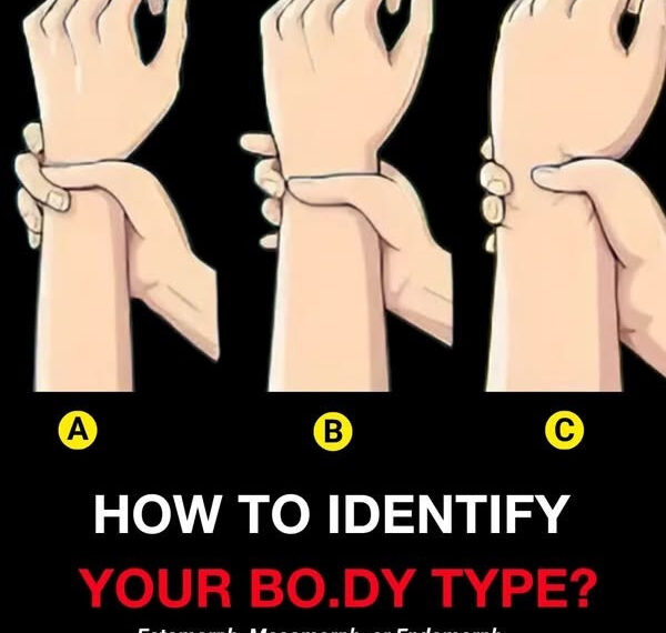 622800434 122206134212567604 6169724109914833581 n 600x570