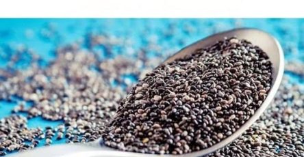 625735338 122207071622567604 2025602939488069153 n