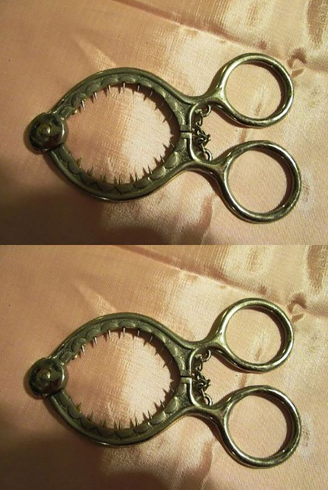 631848318 122207825498567604 3601809649848478622 n