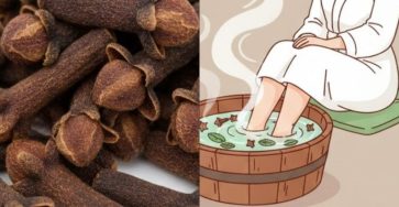 632537136 122207843768567604 5193819826586029999 n