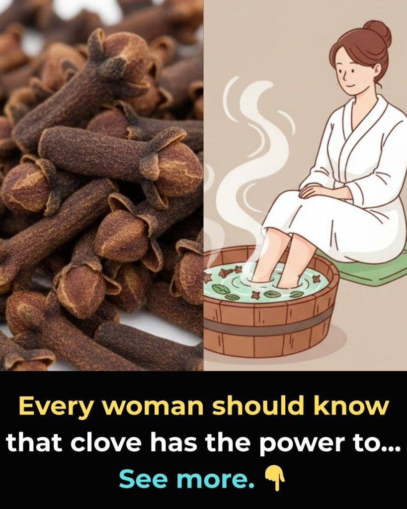 632537136 122207843768567604 5193819826586029999 n