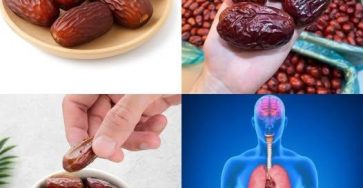 632584304 122208442316567604 228877640455335158 n