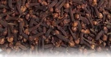 633227644 122208795836567604 6916037972760981414 n