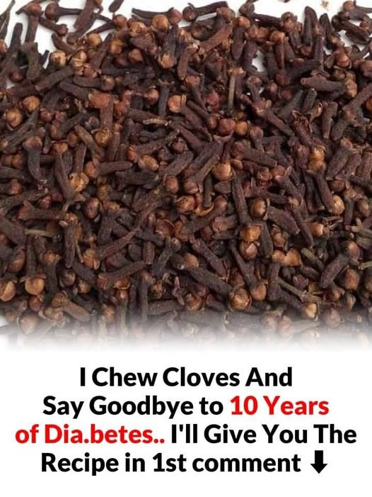 633227644 122208795836567604 6916037972760981414 n