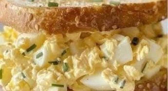 633533372 122208730838567604 4973353764105593636 n