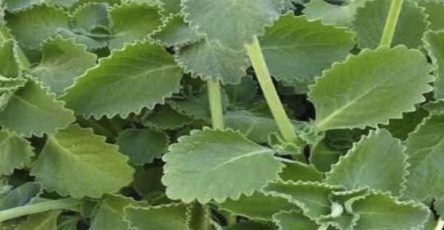 633696289 122208685700567604 3974639388425389398 n