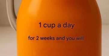 633721595 122208663158567604 615251435148167328 n