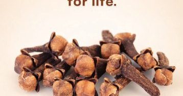 634900599 122208918668567604 1695068185106494141 n