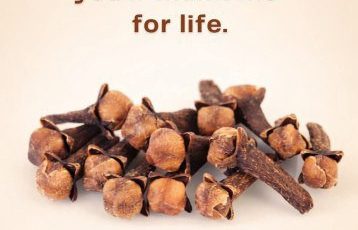 634900599 122208918668567604 1695068185106494141 n