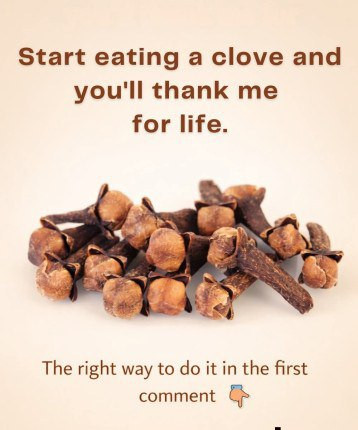 634900599 122208918668567604 1695068185106494141 n