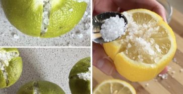 636798046 122208652466567604 3237381366944318138 n