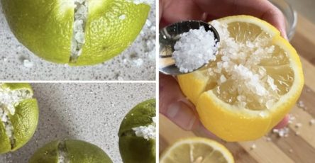 636798046 122208652466567604 3237381366944318138 n