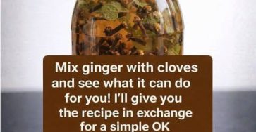 648096066 1737142474329900 1825795027759624327 n