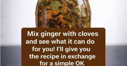 648096066 1737142474329900 1825795027759624327 n