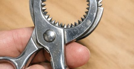 649607114 2002613800674054 583817261587995132 n