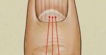 649762677 1646257529854977 8648326528413996494 n