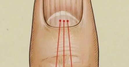 649762677 1646257529854977 8648326528413996494 n