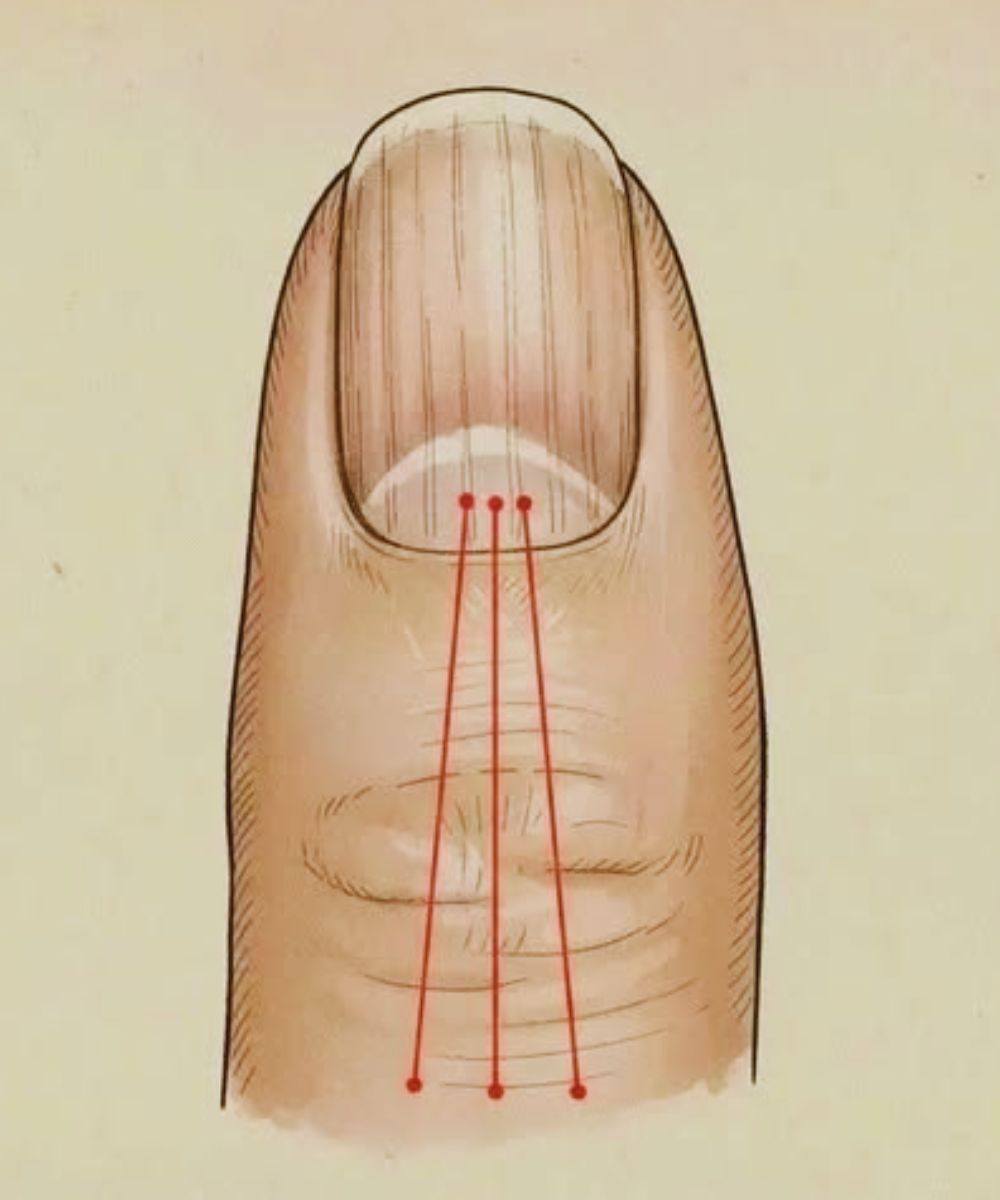 649762677 1646257529854977 8648326528413996494 n