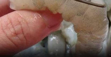 650245590 2131267454325830 5340061453622890322 n