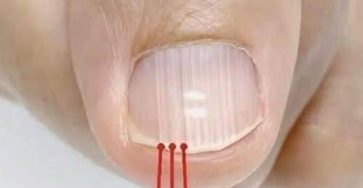 653706705 1946197189316994 7838196162327800619 n