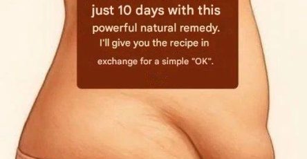 661394233 3873241892969869 1583891257758310845 n