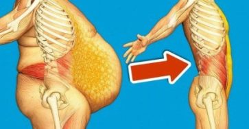 9d98d88e 87e3 4409 b559 497b8210d416