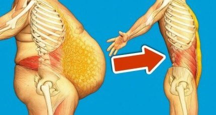 9d98d88e 87e3 4409 b559 497b8210d416