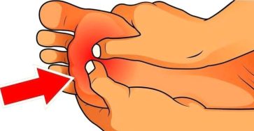 660530617 1505709604927384 5119892836732859531 n