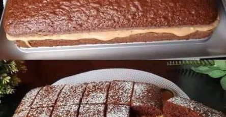 672316897 1510109250480186 7916614183889236631 n