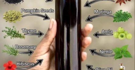 673236331 1668030597657058 5951732323753375794 n